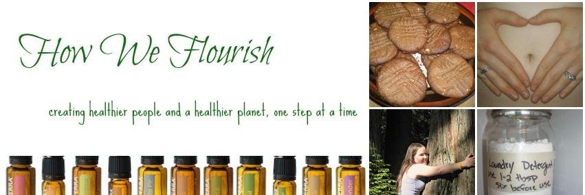 howweflourish's profile banner image