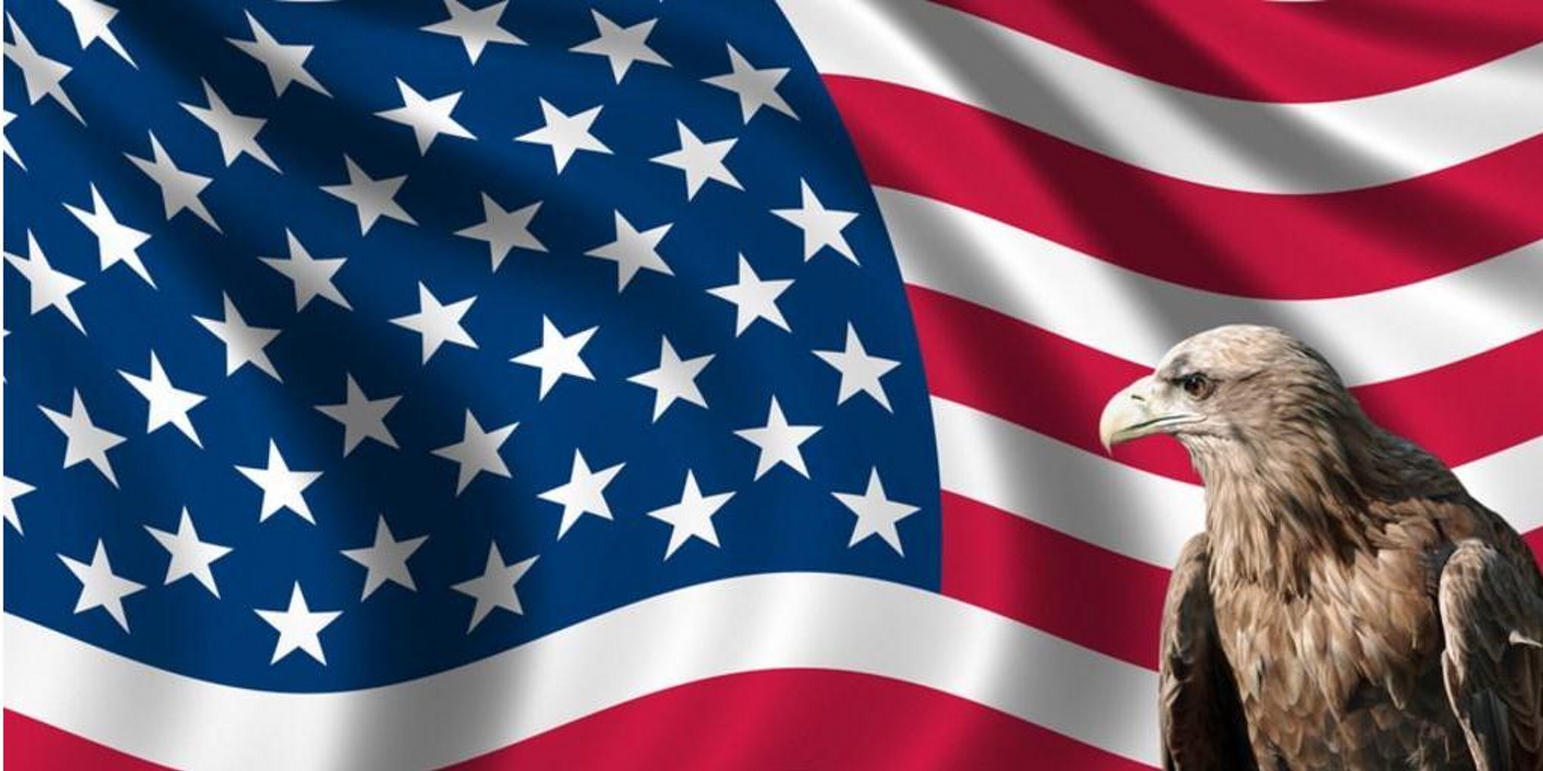 ShelbyCoEMHLS's profile banner image