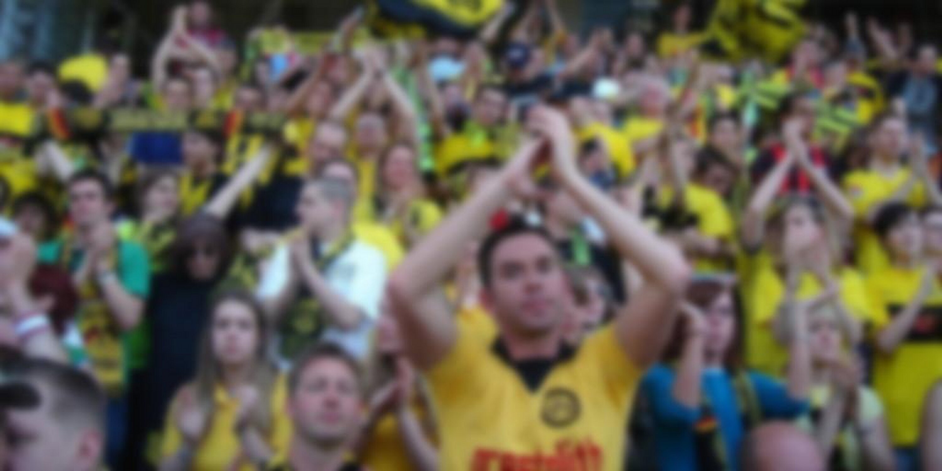 bvbwarnbot's profile banner image