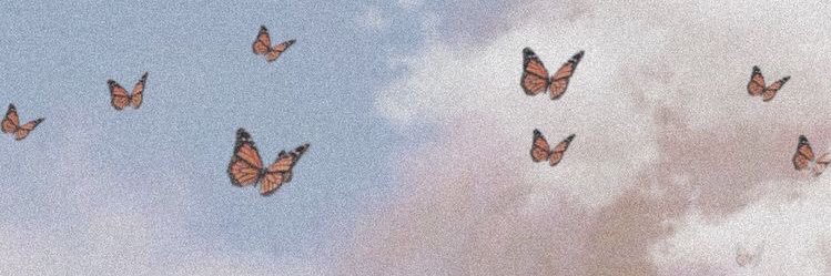 EmiiPorras's profile banner image