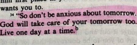 volat in alis dei banner