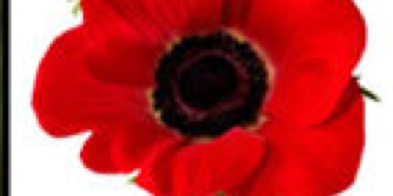 gogs1291's profile banner image