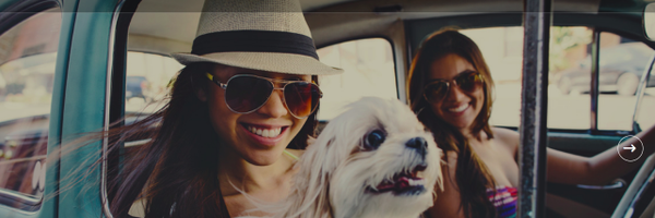 theSPOTapp Profile Banner