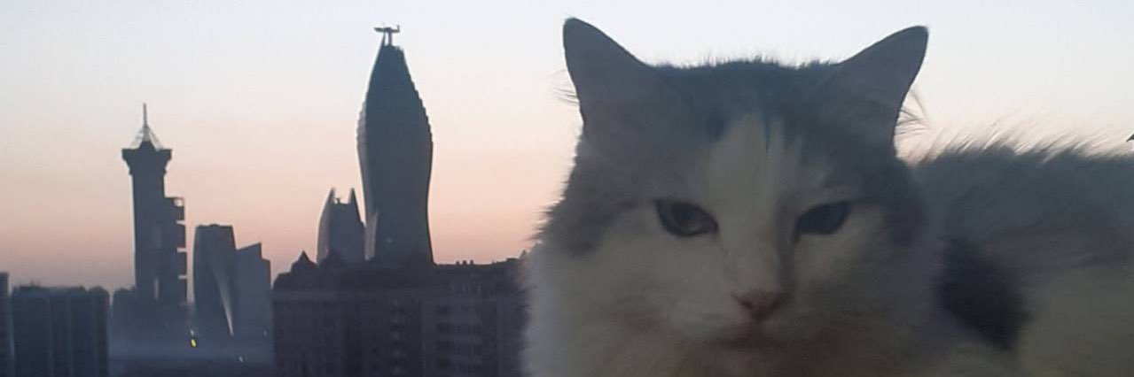 zorelemishem's profile banner image