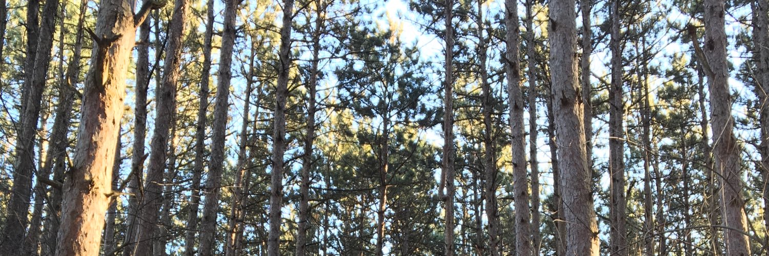 rasmith1228's profile banner image