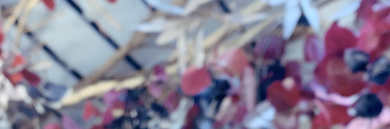 ayaaaano88's profile banner image
