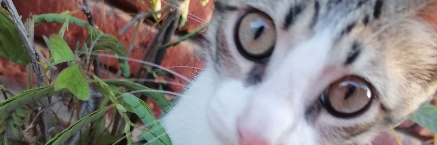 Lezor27's profile banner image