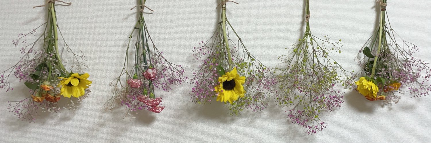 Peco_0911's profile banner image