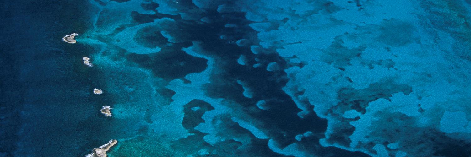 edgarfortune2's profile banner image