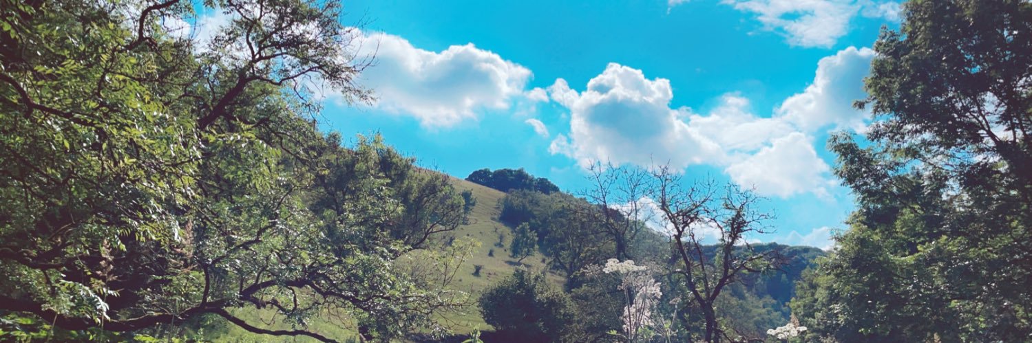 Tyler_Adamss's profile banner image