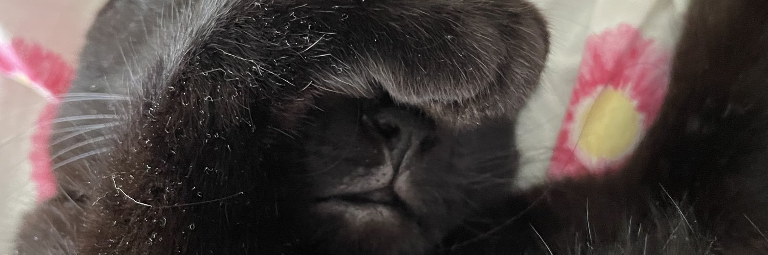 patrickstarhaha's profile banner image