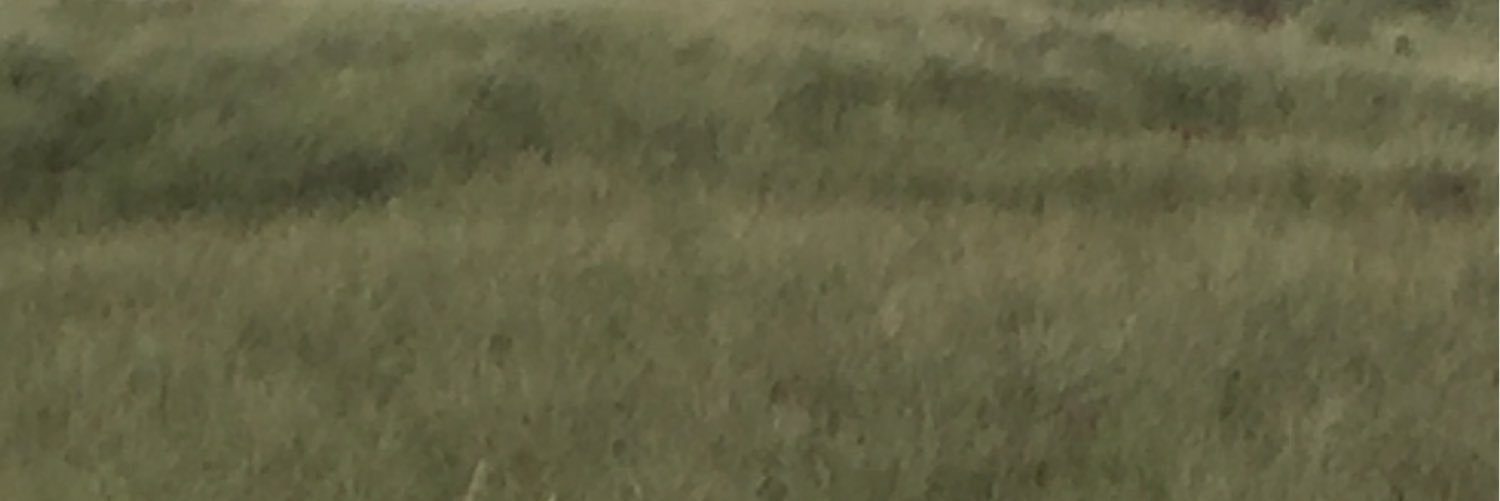 1loganwalter1's profile banner image