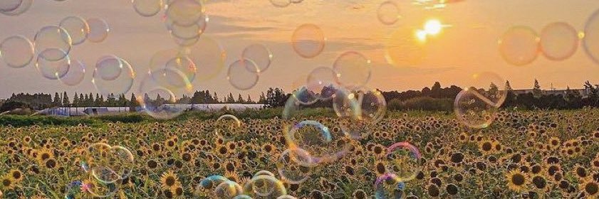 Maitentvg's profile banner image