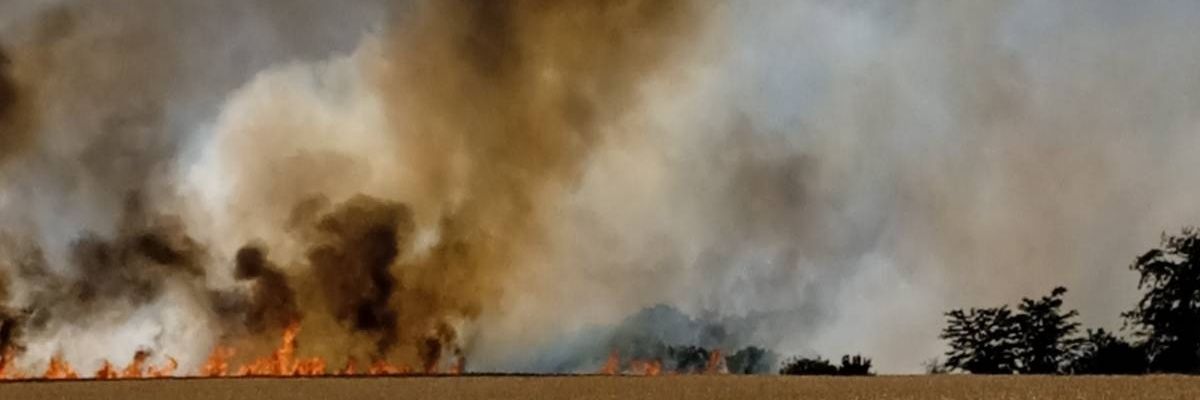 waldy1974's profile banner image