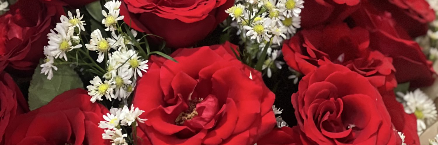 caileybree13's profile banner image