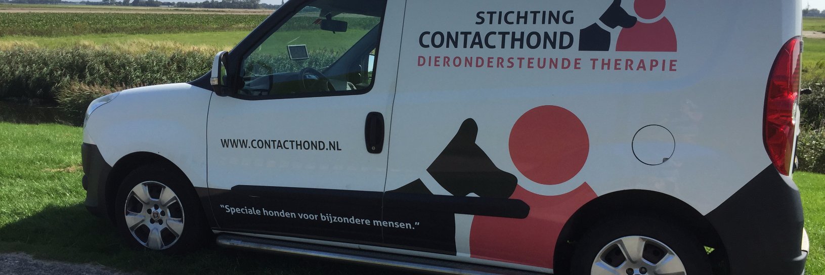 Contacthond's profile banner image