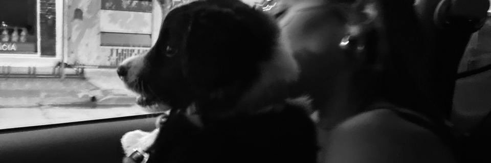 julileiivas's profile banner image
