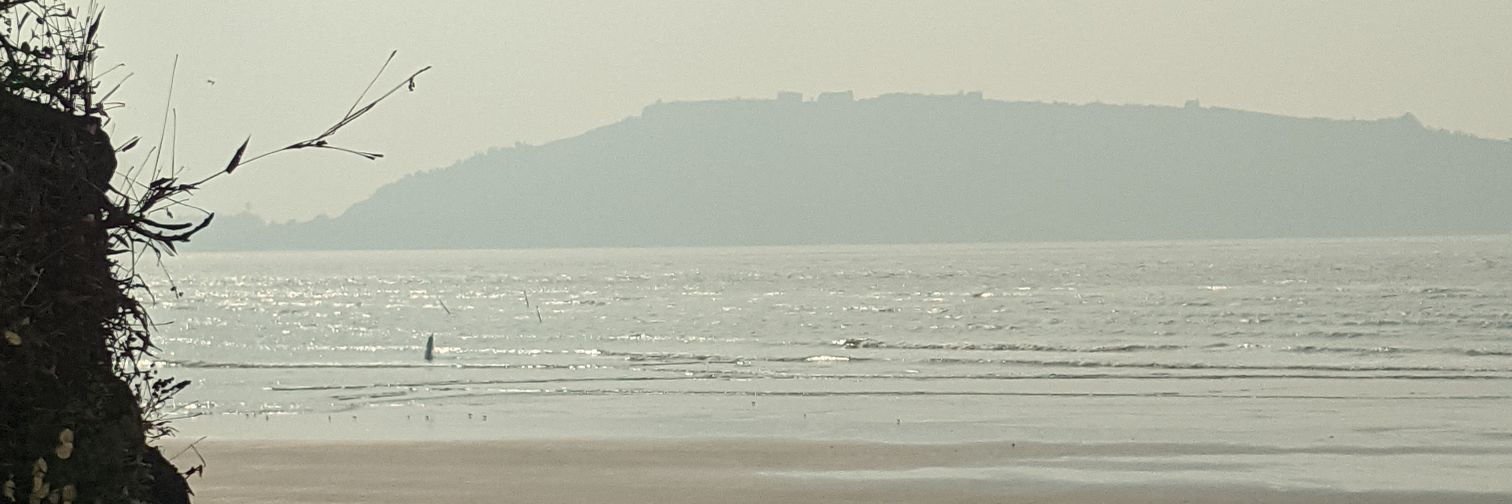 mandarisnothere's profile banner image