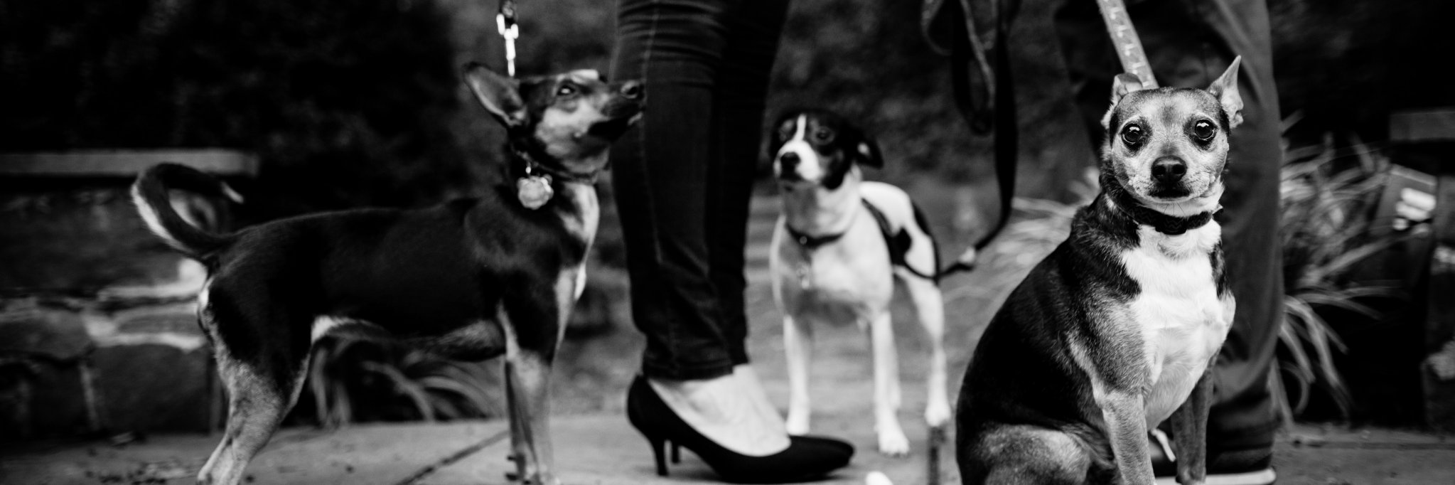 betsce's profile banner image