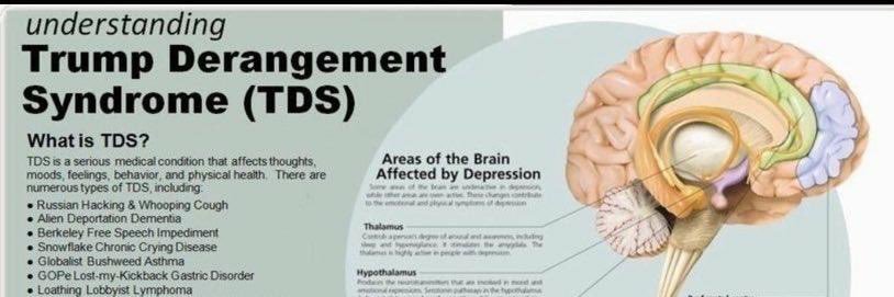 The TDS Doctor 🇺🇸 banner