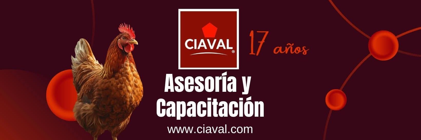 CiavalProyectos's profile banner image