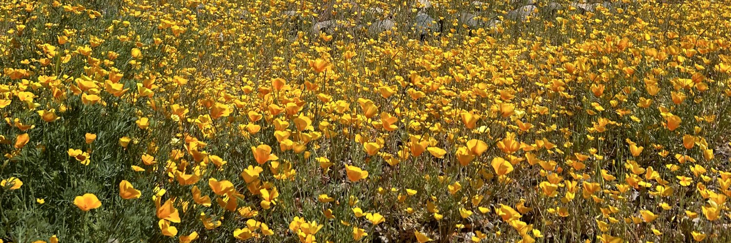 ℂ𝕒𝕣𝕠𝕝 𝕚𝕟 𝕥𝕙𝕖 𝔻𝕖𝕤𝕖𝕣𝕥 🇺🇸 🇨🇦🌵💙 banner