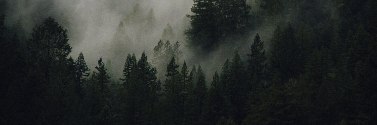 Darren van der Garry banner