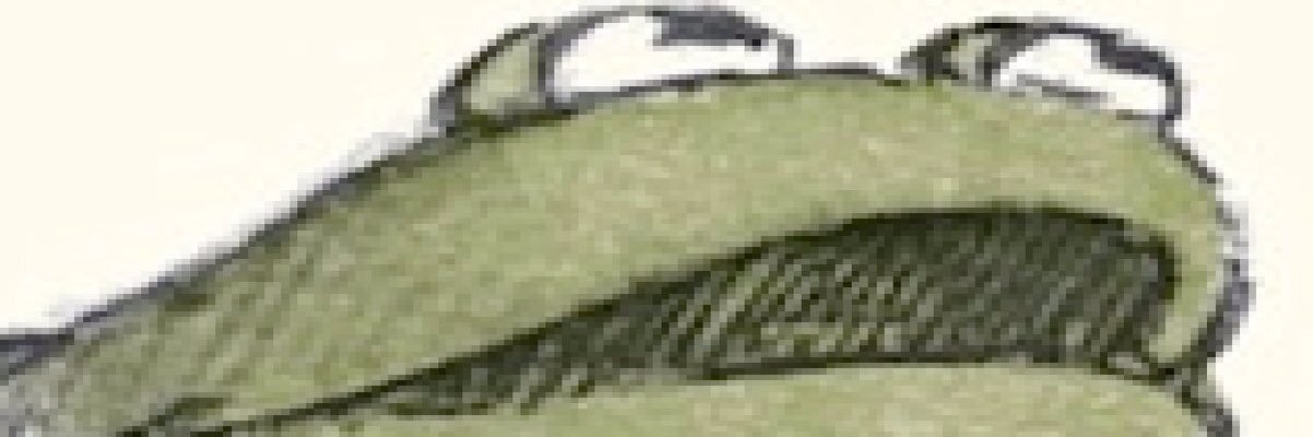 IanRtsbus's profile banner image