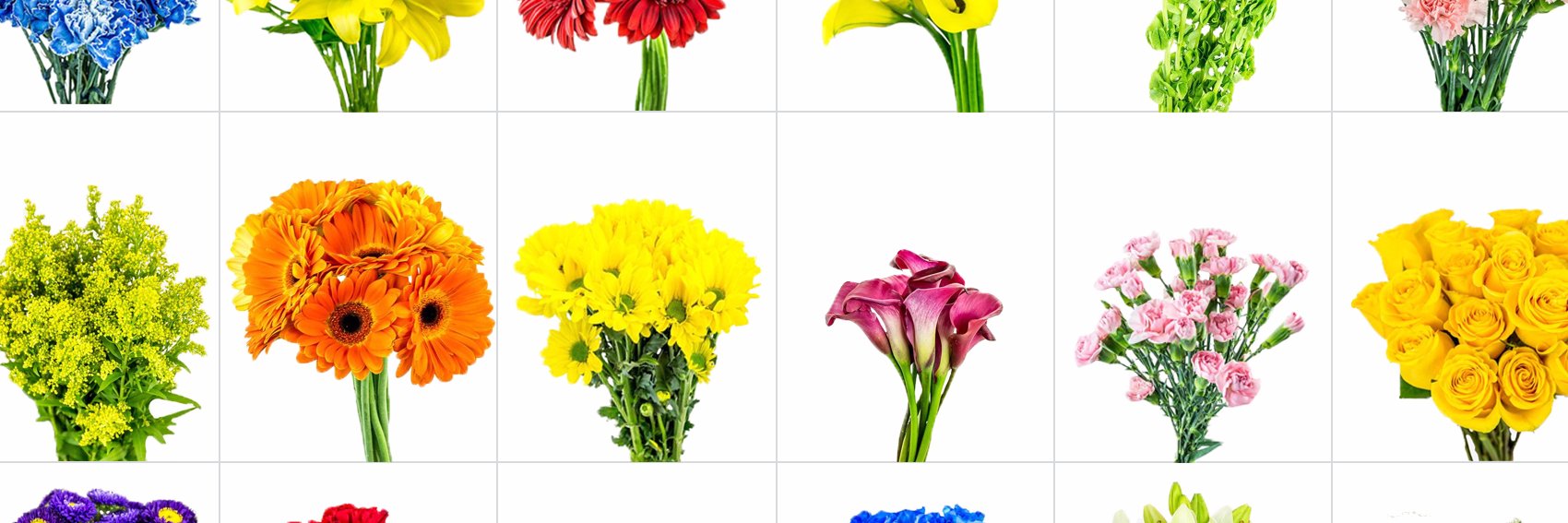 FloralTab's profile banner image
