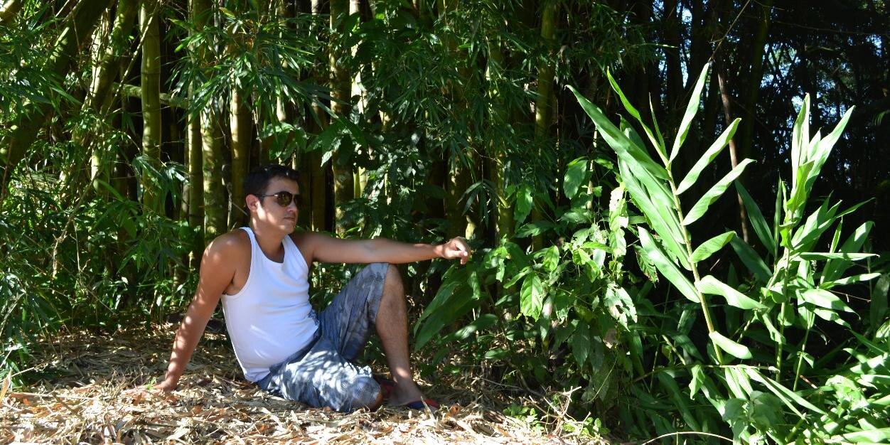 guiamandioo's profile banner image