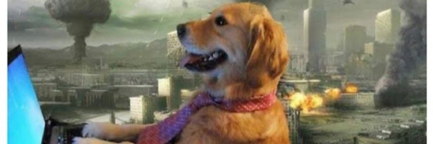 mimeypuddleduck's profile banner image