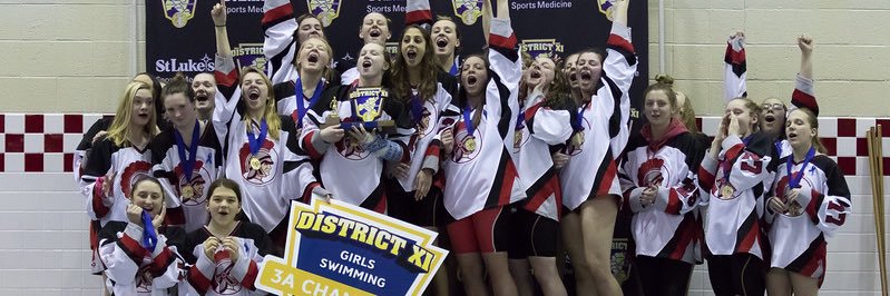 PHS Girls Swim & Dive banner