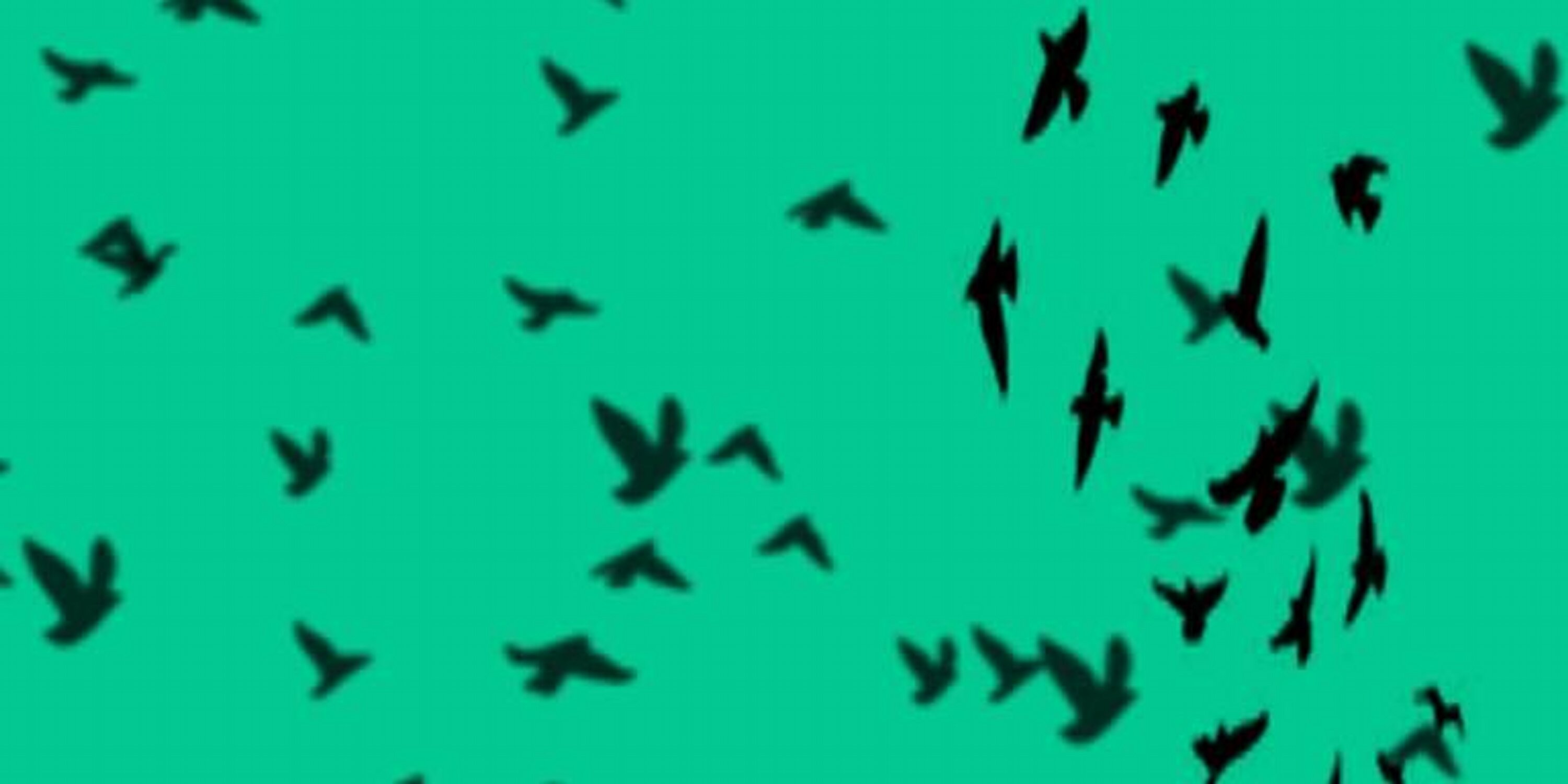 Lee_escribe's profile banner image