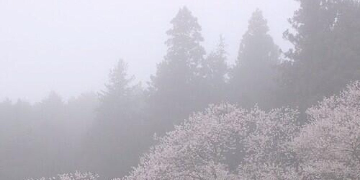 loubedtwinks's profile banner image