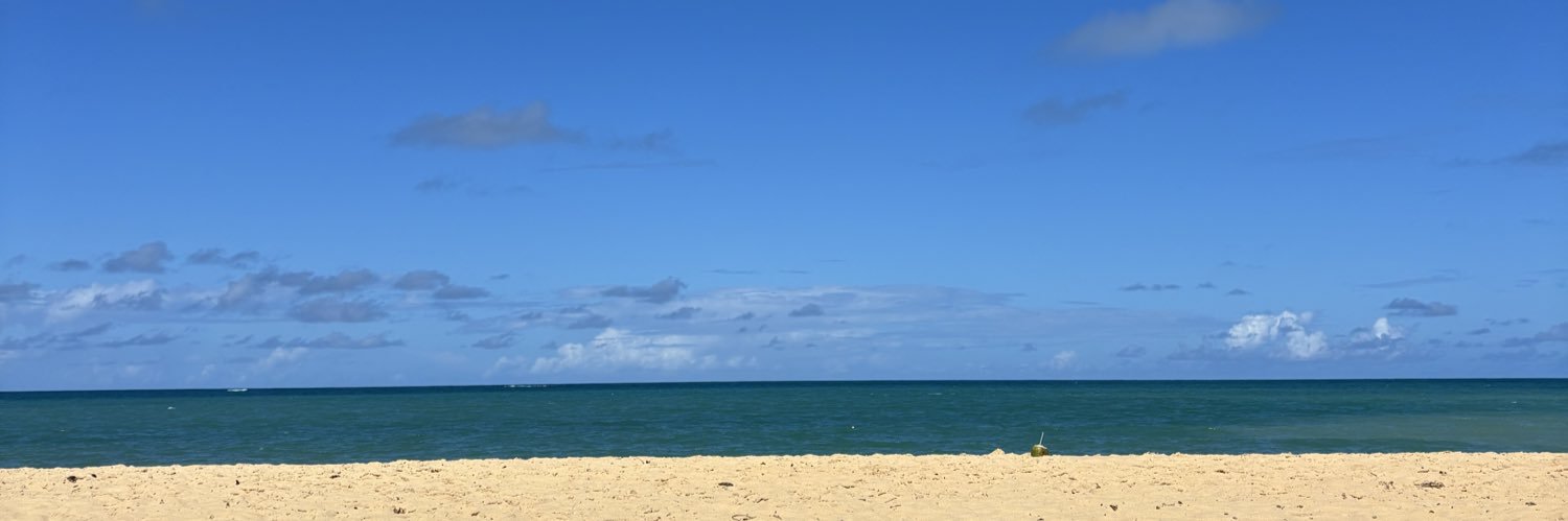 Milivesichio's profile banner image