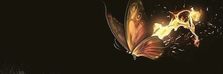 danielasc13's profile banner image