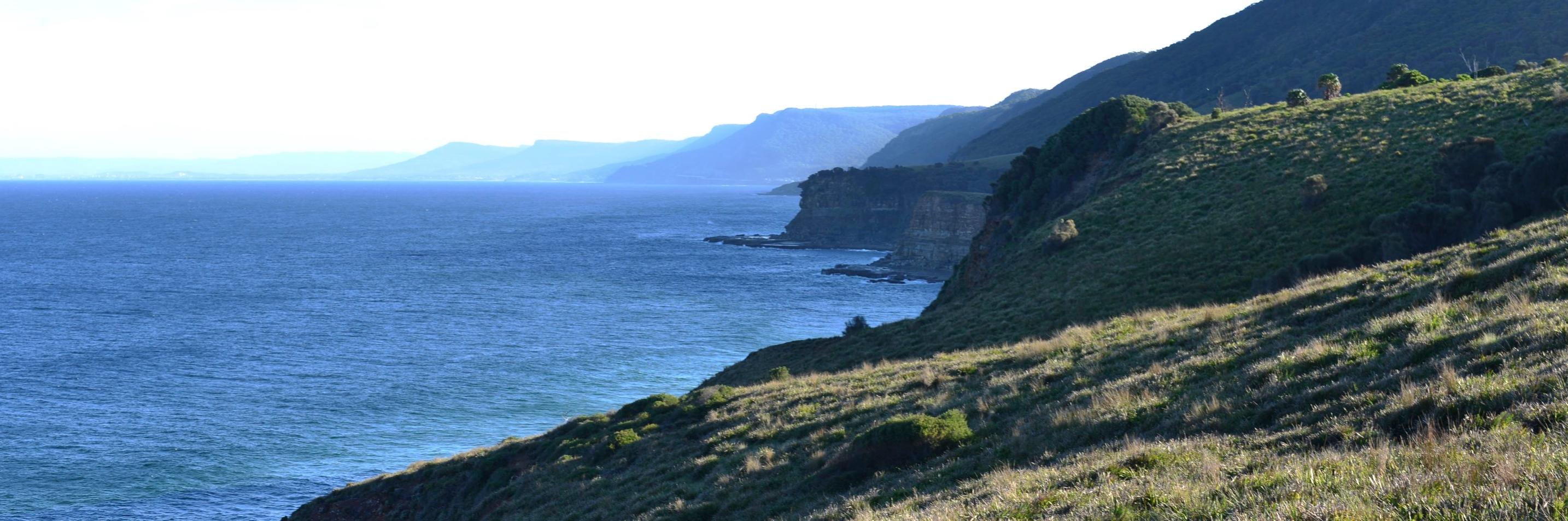 𝚌𝚑𝚛𝚒𝚜 𝚊𝚗𝚍𝚎𝚛𝚜𝚎𝚗 banner