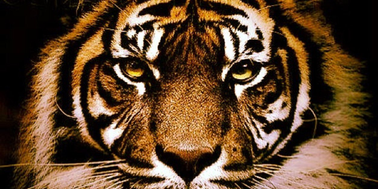jcurrie2's profile banner image