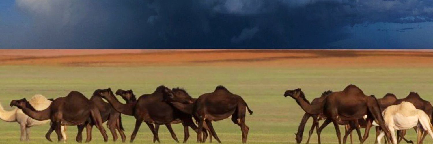 حمد banner