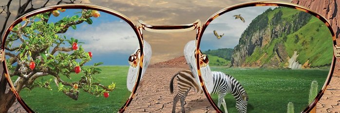 LiveThomas00's profile banner image