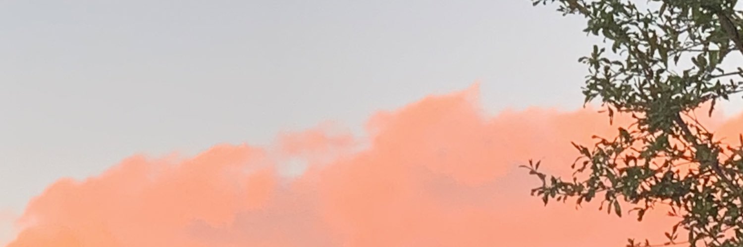 caraveoxox's profile banner image