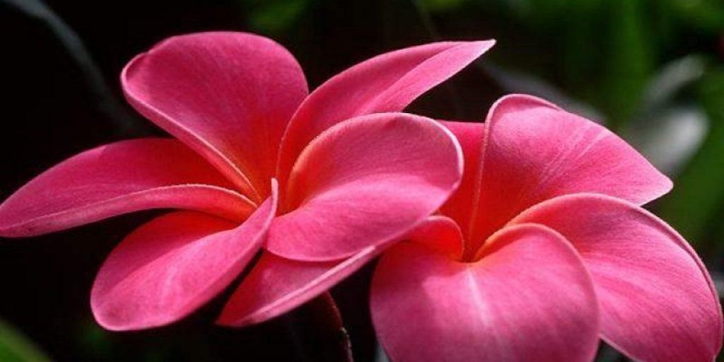 moayd8120's profile banner image