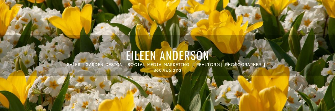 Eileen Anderson banner