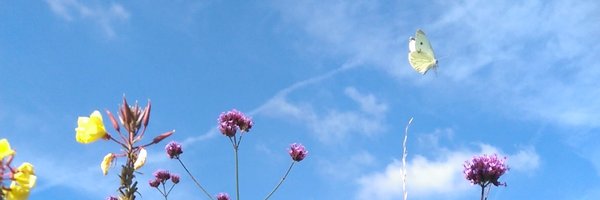 MathsladyScott Profile Banner