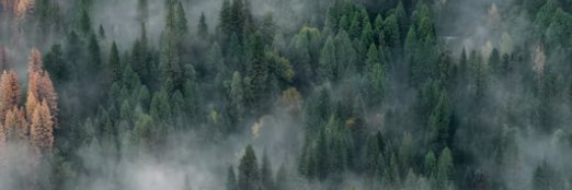 Qvien_tha's profile banner image