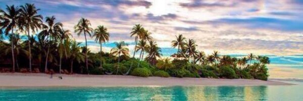 taylorbrookeee4 Profile Banner