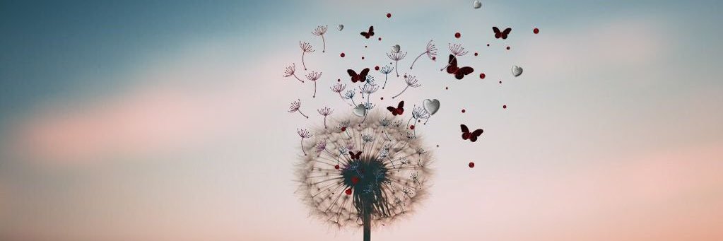 MsRielly's profile banner image