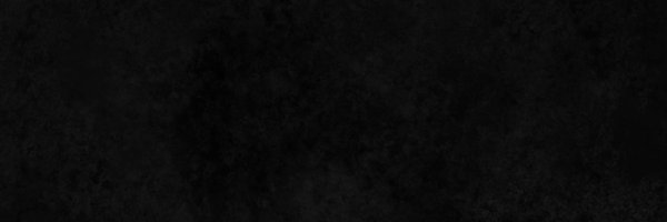 ryanli Profile Banner