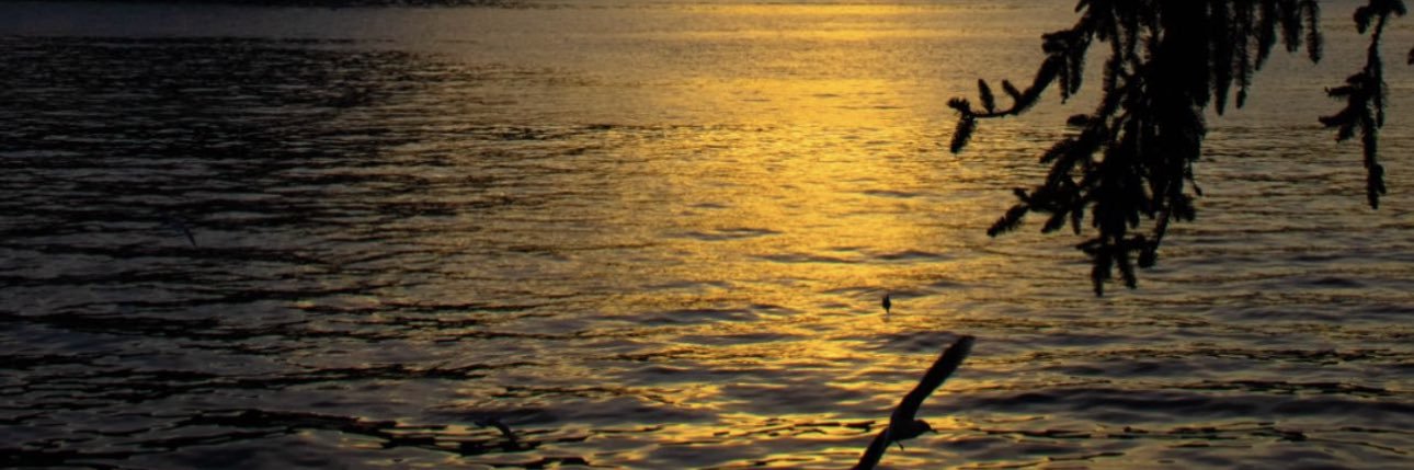 _nilhay's profile banner image