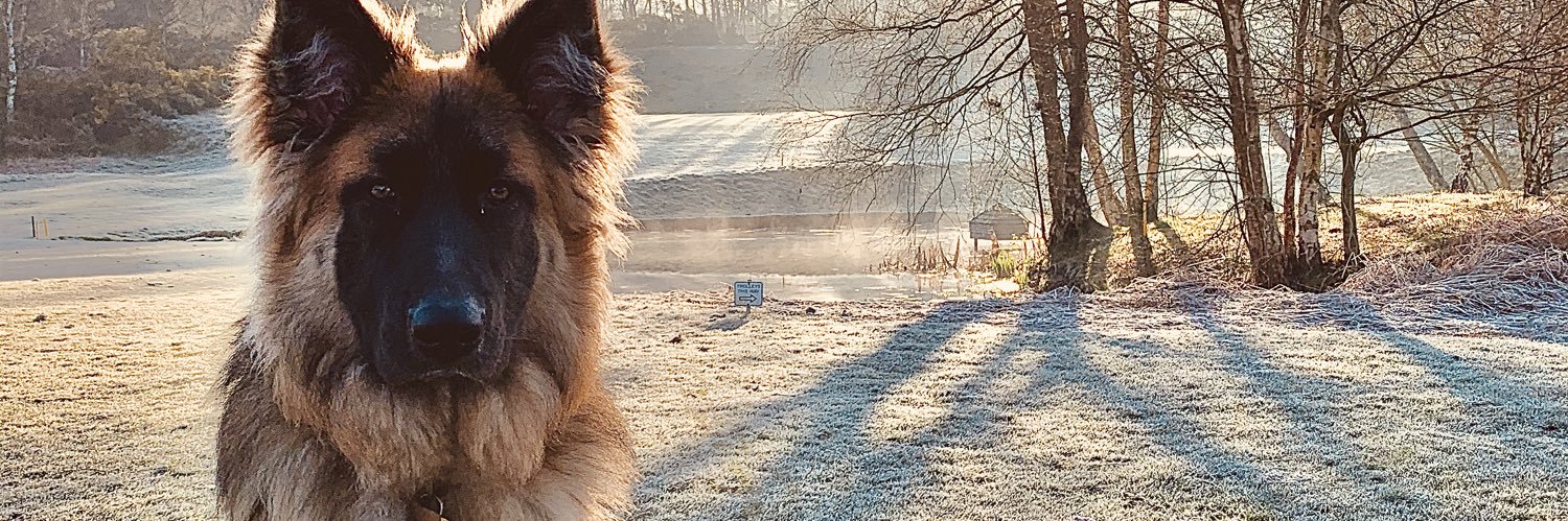 growler1985's profile banner image